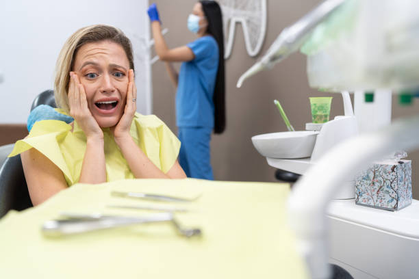 Best Broken or Chipped Tooth Repair in Estill, SC